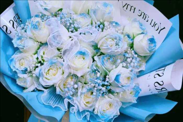 ĳݷػ
